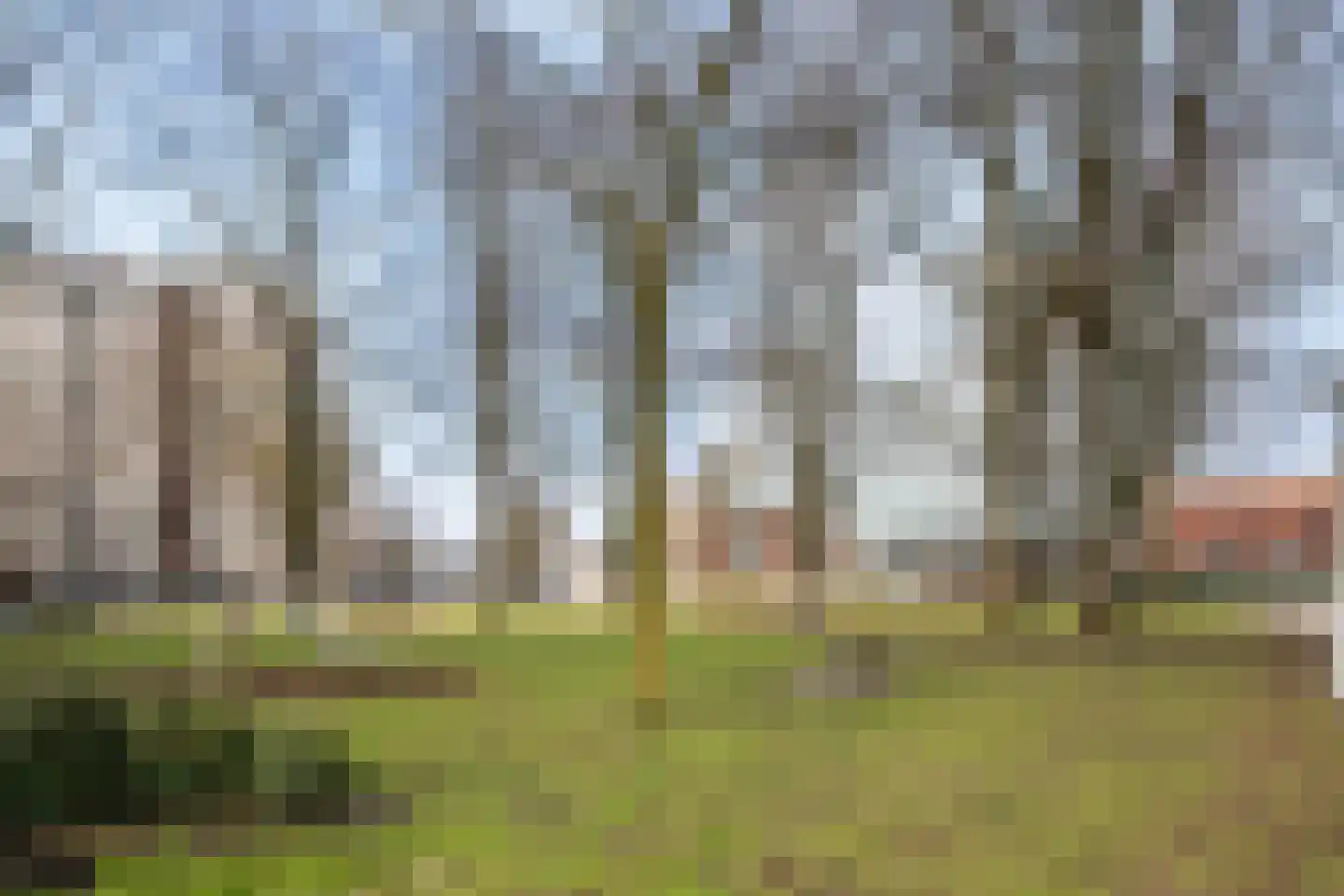 Oeverpad 575 Amsterdam thumbnail 43