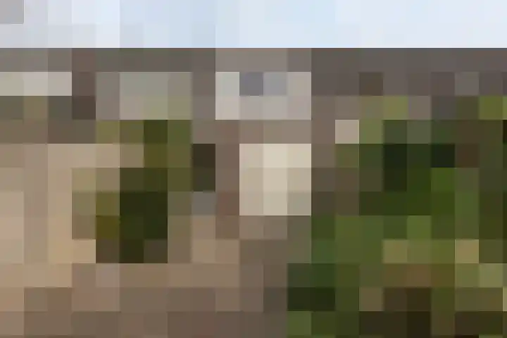 Oeverstraat 15 Tilburg thumbnail 33