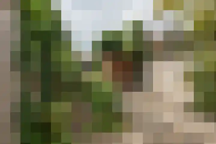Oeverstraat 15 Tilburg thumbnail 37
