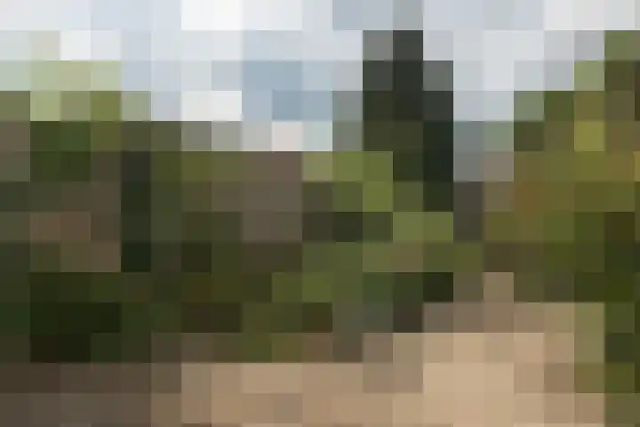 Oeverstraat 15 Tilburg thumbnail 38