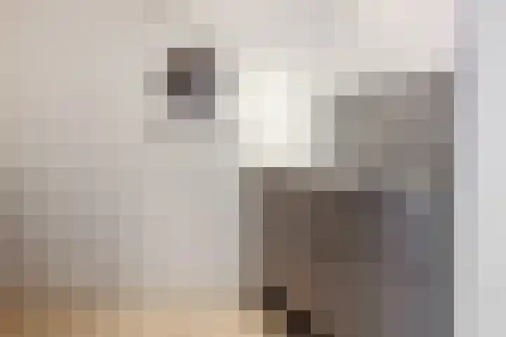 Oeverstraat 2 Wijk bij Duurstede thumbnail 10