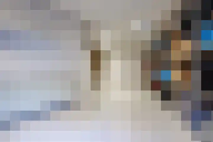 Oeverstraat 2 Wijk bij Duurstede thumbnail 15