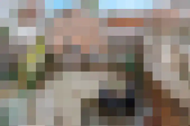 Oeverstraat 2 Wijk bij Duurstede thumbnail 20