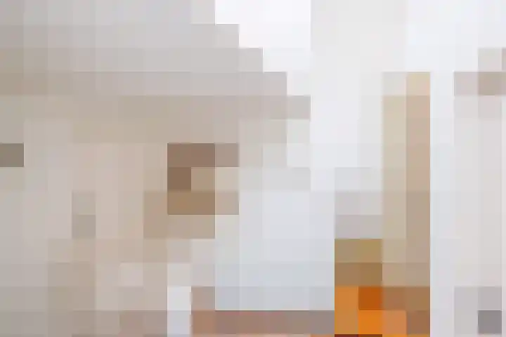 Oeverstraat 2 Wijk bij Duurstede thumbnail 23