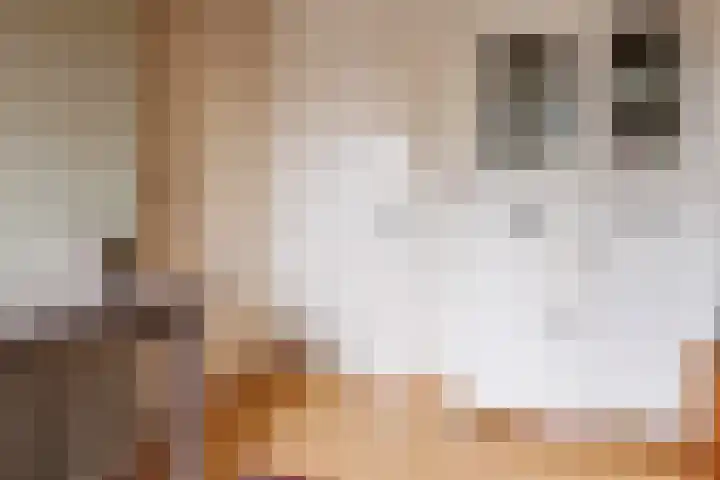 Oeverstraat 2 Wijk bij Duurstede thumbnail 27