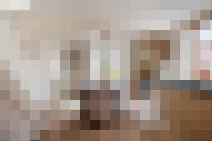 Oeverstraat 2 Wijk bij Duurstede thumbnail 31