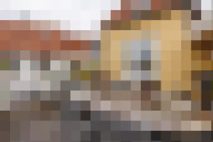 Oeverstraat 2 Wijk bij Duurstede thumbnail 37