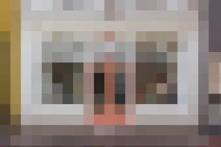 Oeverstraat 2 Wijk bij Duurstede thumbnail 4