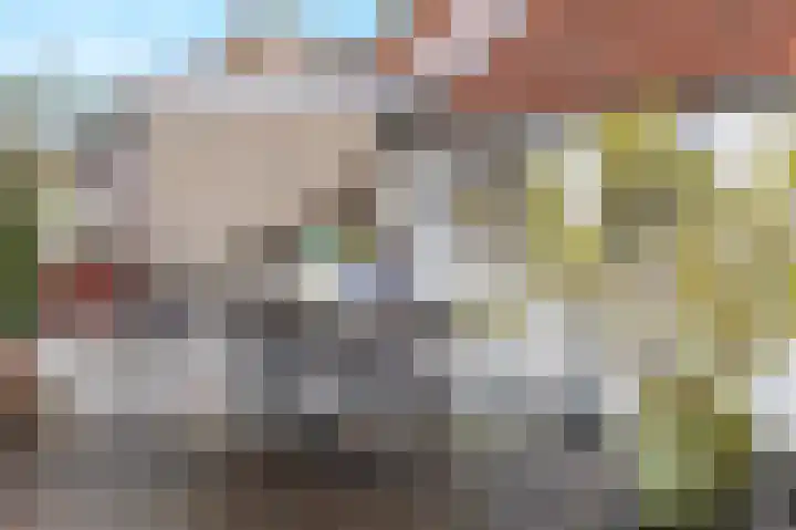 Oeverstraat 2 Wijk bij Duurstede thumbnail 41