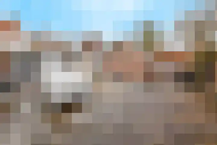 Oeverstraat 2 Wijk bij Duurstede thumbnail 42