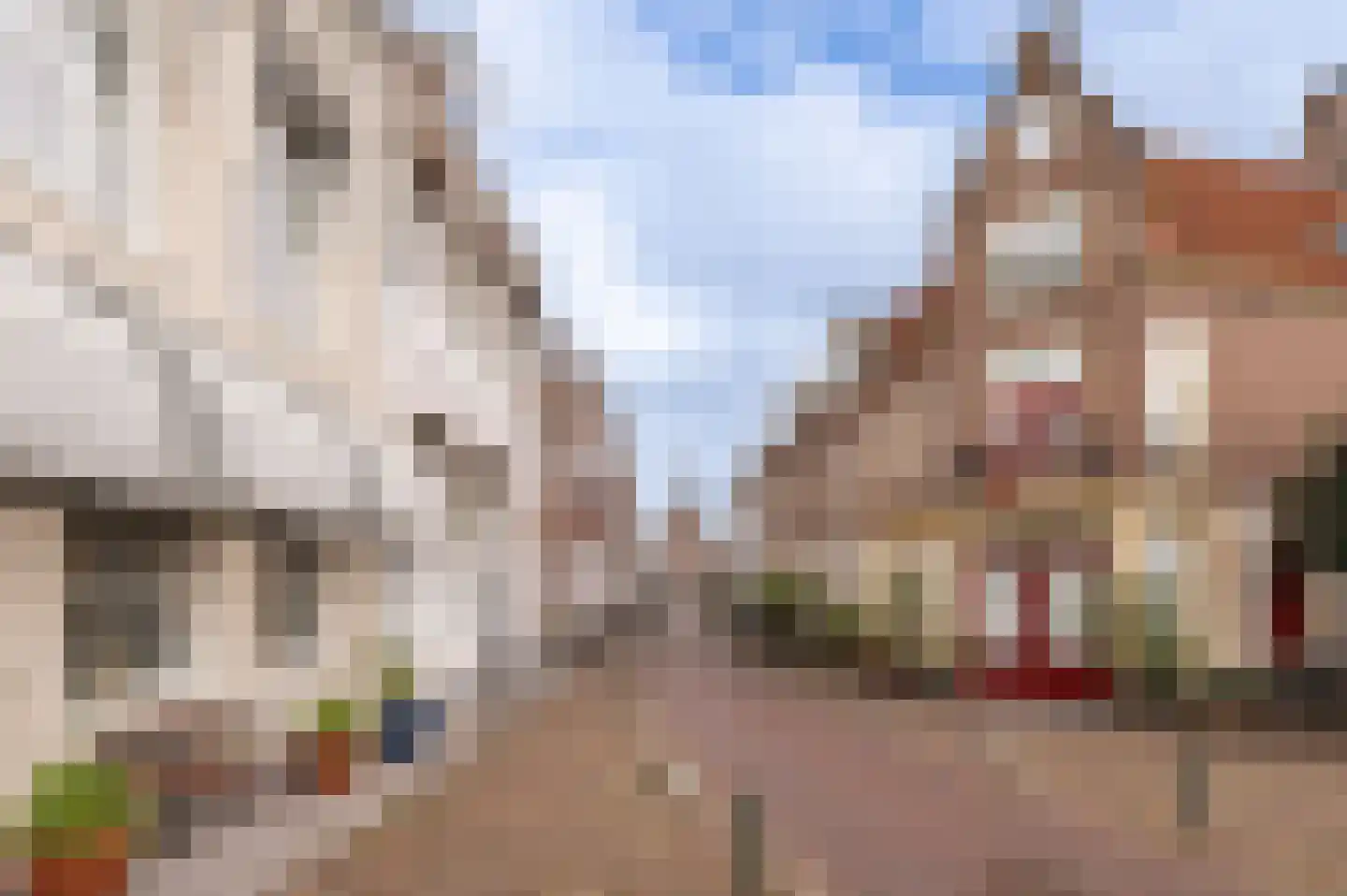 Oeverstraat 21 b Wijk bij Duurstede thumbnail 60