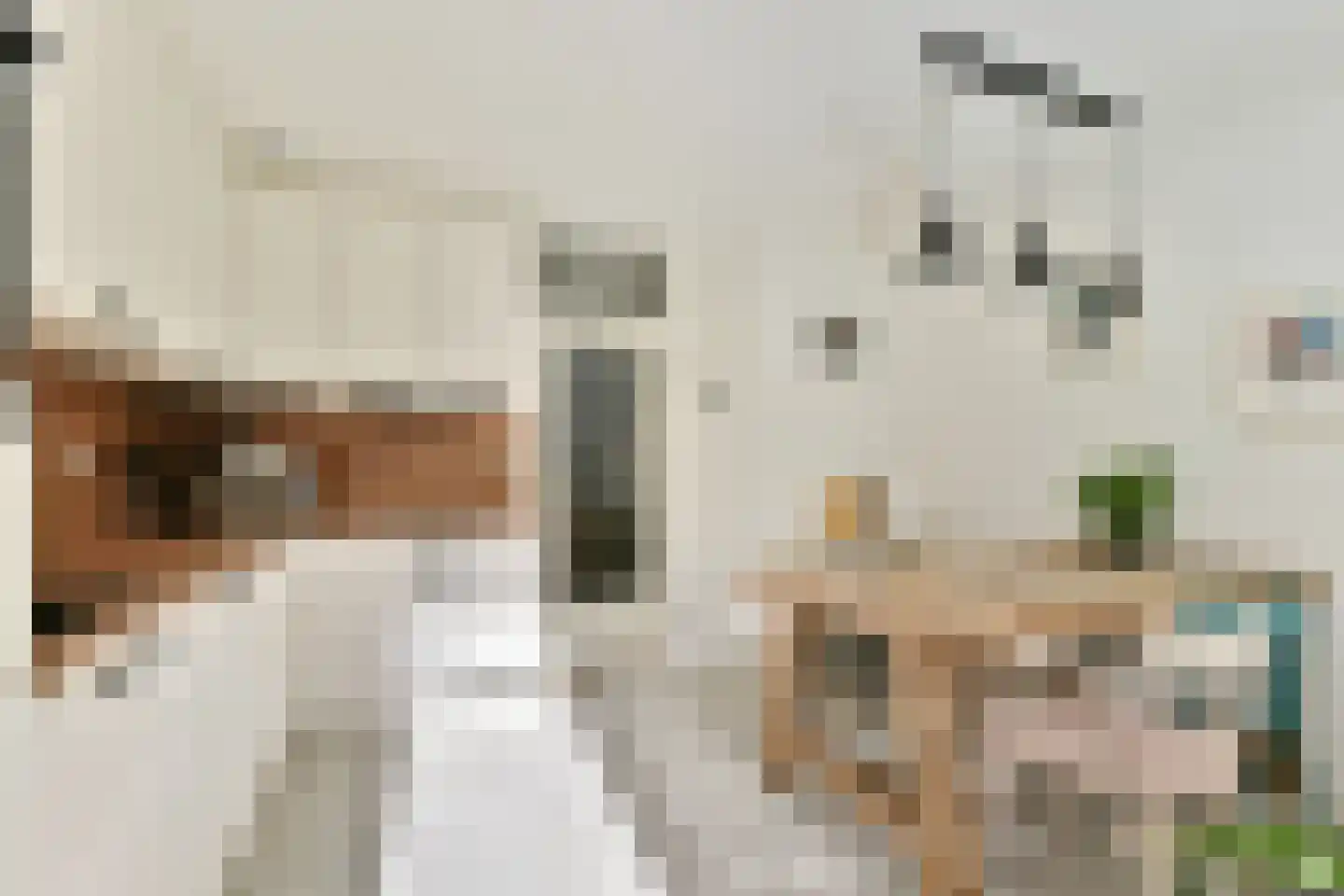 Oeverstraat 23 Rotterdam thumbnail 12