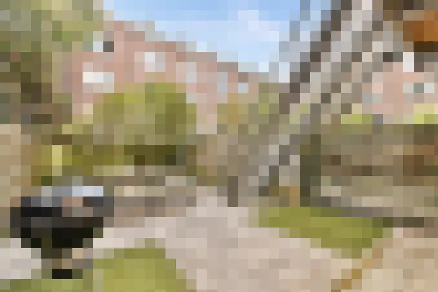 Oeverstraat 23 Rotterdam thumbnail 18