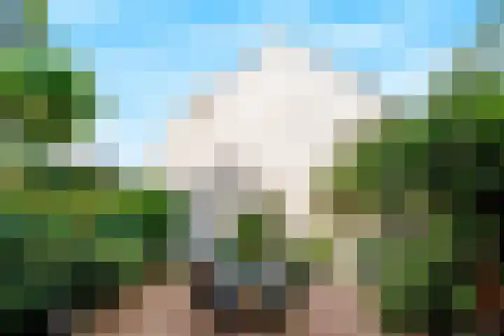 Oeverstraat 30 Wijk bij Duurstede thumbnail 4