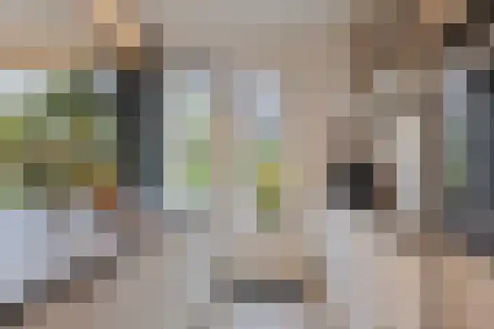 Oeverstraat 4 Gaanderen thumbnail 17