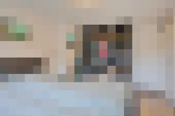 Oeverstraat 4 Gaanderen thumbnail 24