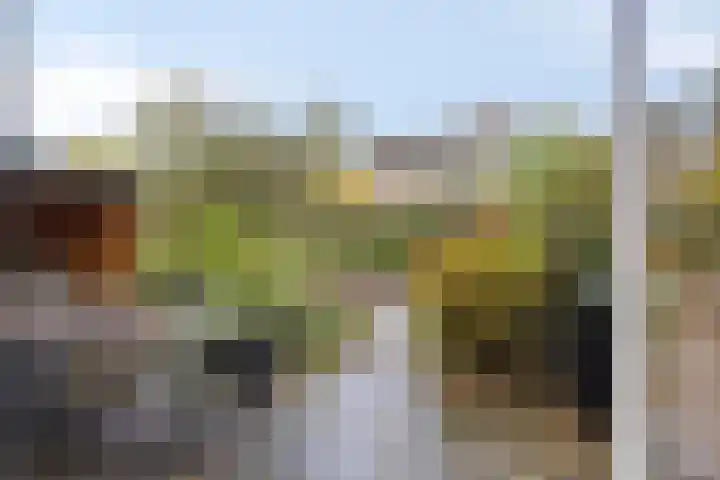 Oeverstraat 4 Gaanderen thumbnail 38