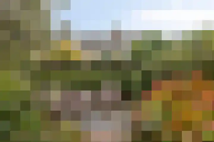 Oeverstraat 4 Gaanderen thumbnail 41