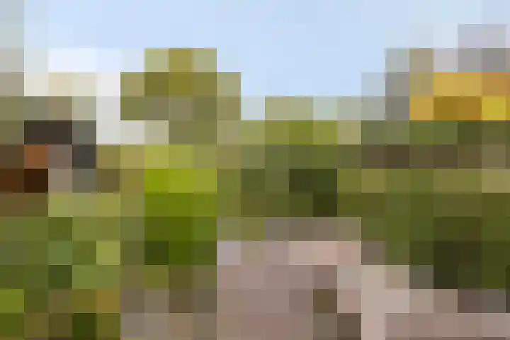 Oeverstraat 4 Gaanderen thumbnail 42