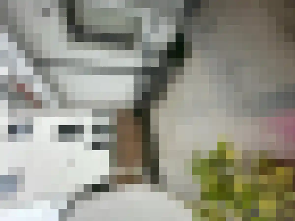 Oeverwal 10 Maastricht thumbnail 4