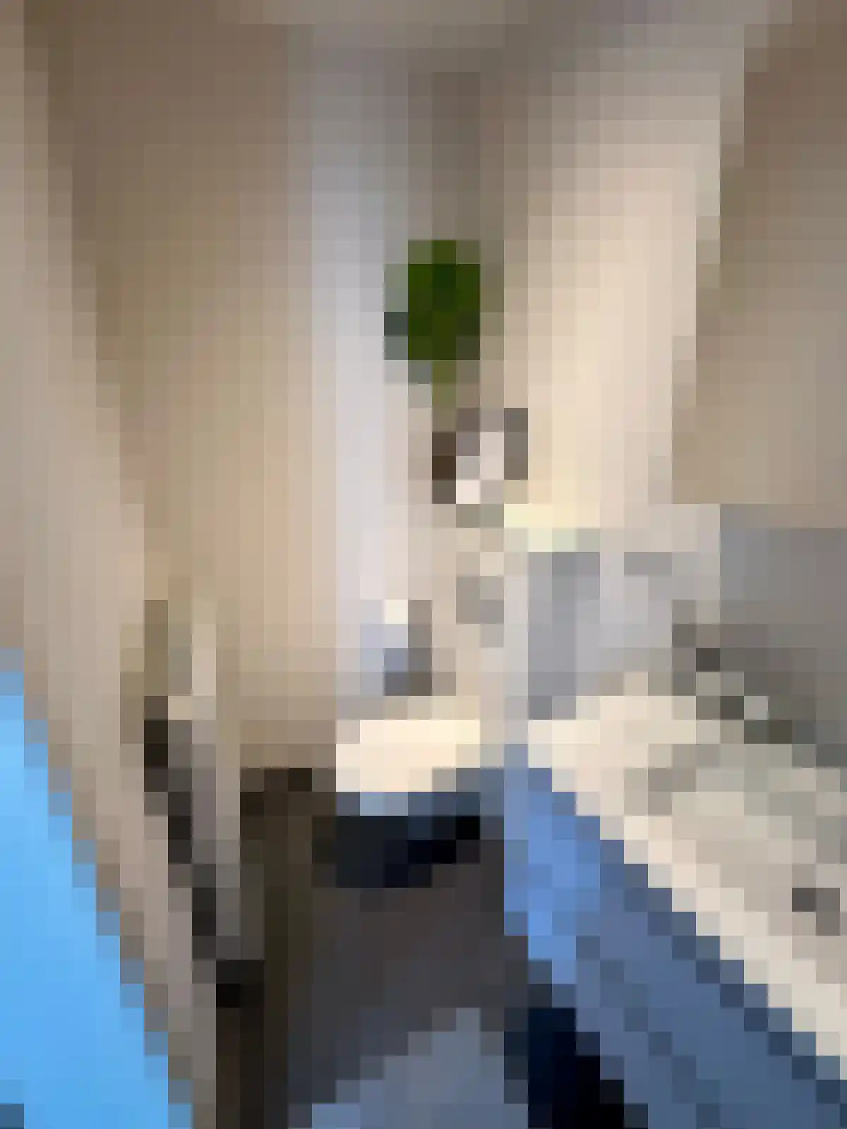 Oeverwal 10 Maastricht thumbnail 5