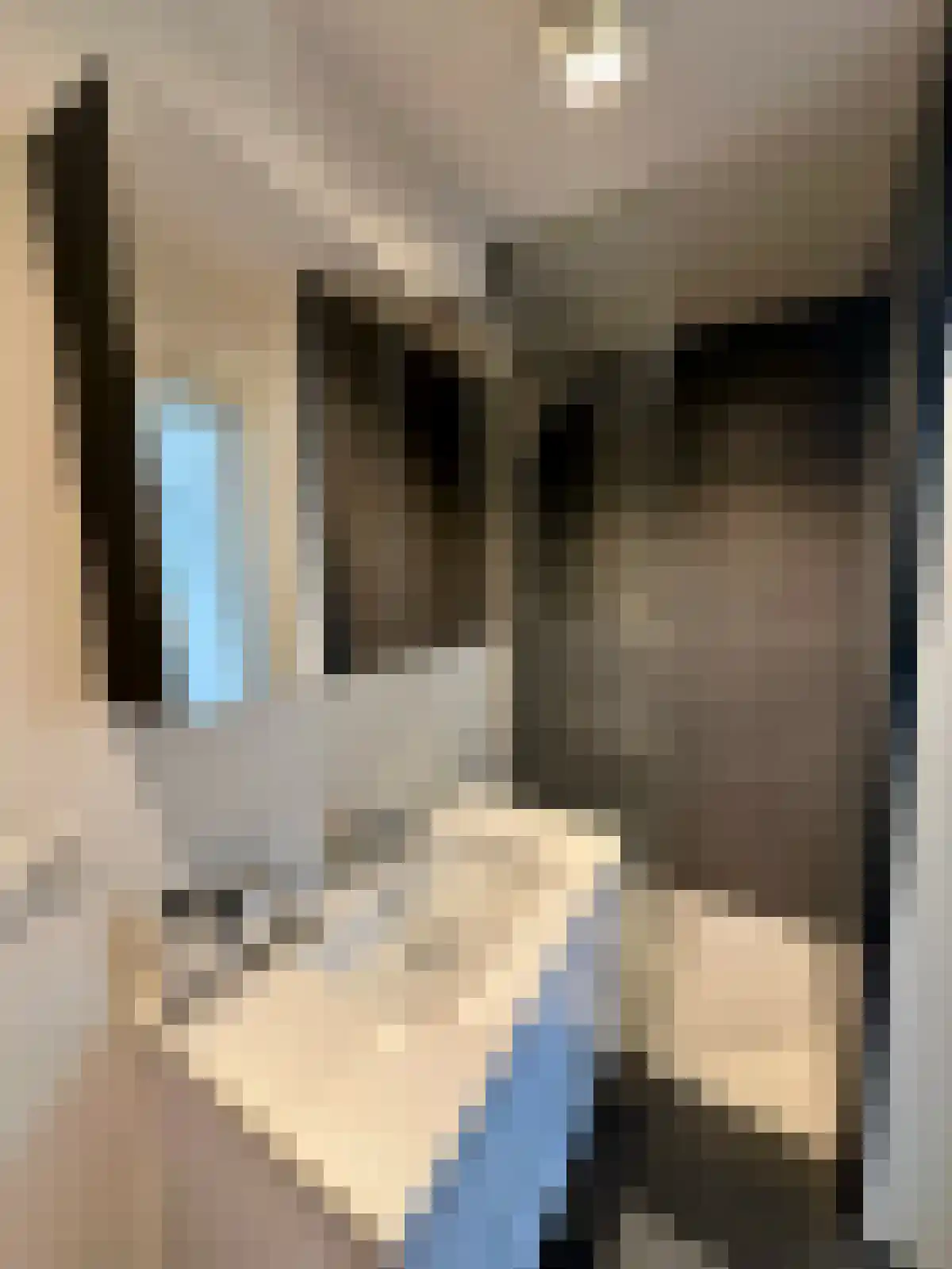 Oeverwal 10 Maastricht thumbnail 6