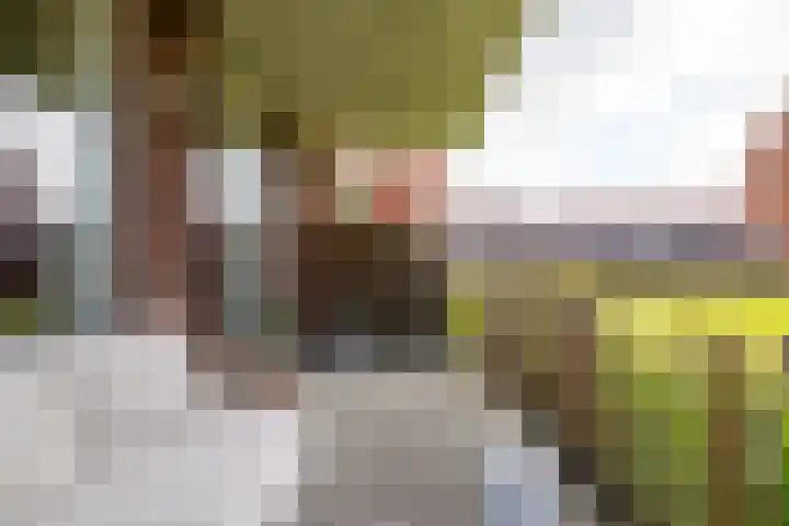 Oeverwal 101 Hoogwoud thumbnail 16
