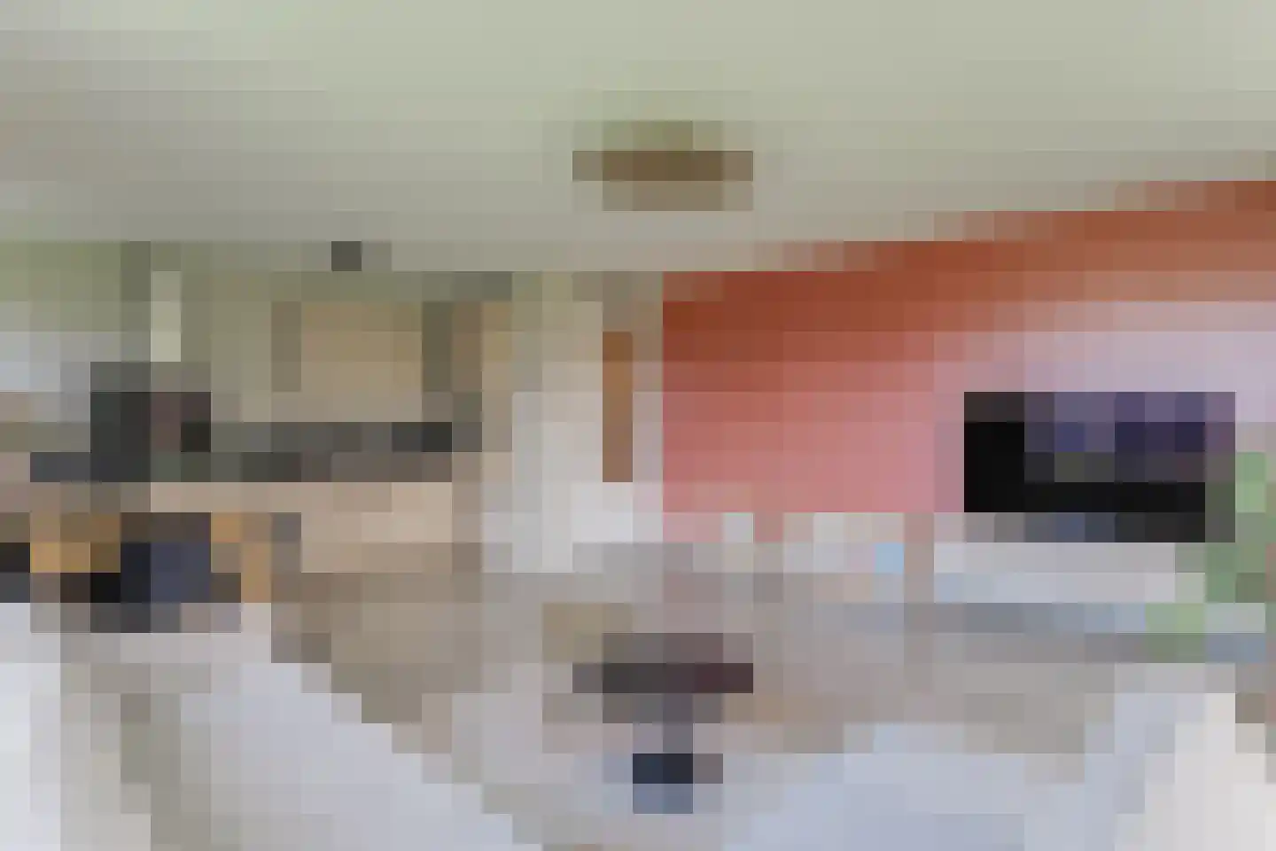 Oeverwal 101 Hoogwoud thumbnail 20