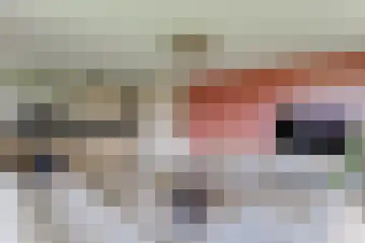 Oeverwal 101 Hoogwoud thumbnail 20