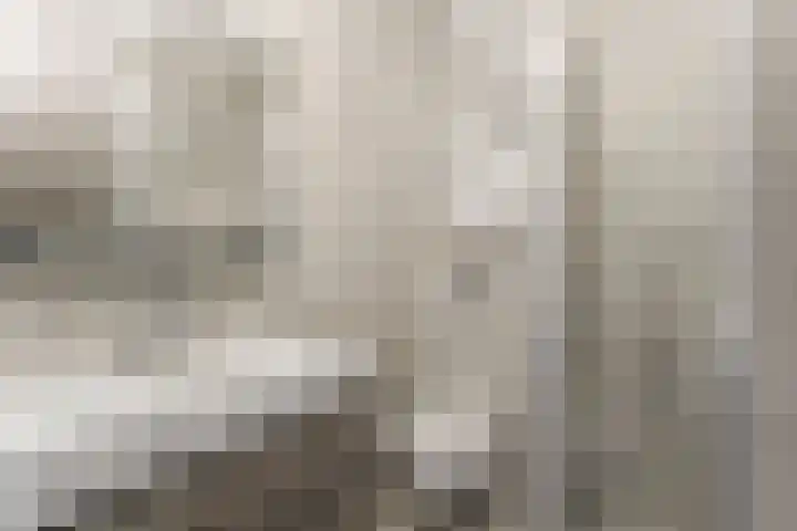 Oeverwal 101 Hoogwoud thumbnail 23