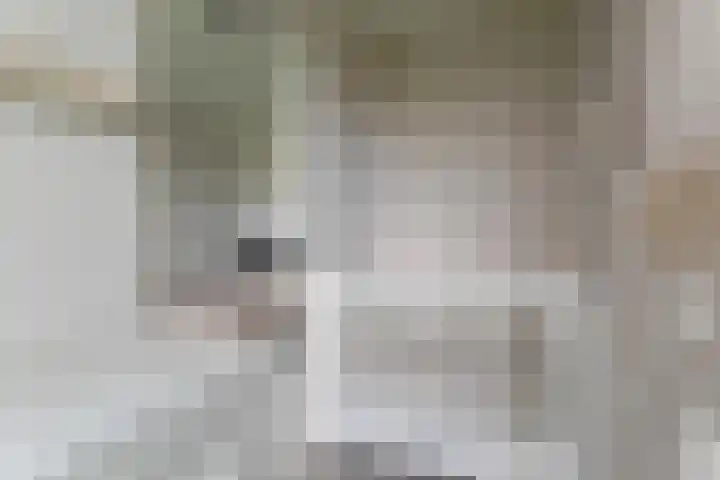 Oeverwal 101 Hoogwoud thumbnail 30