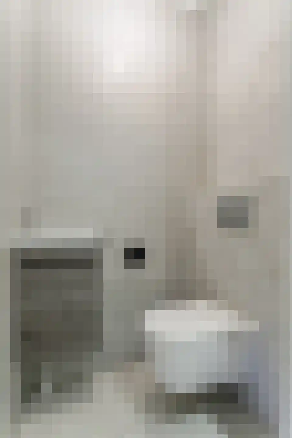 Oeverwal 101 Hoogwoud thumbnail 32