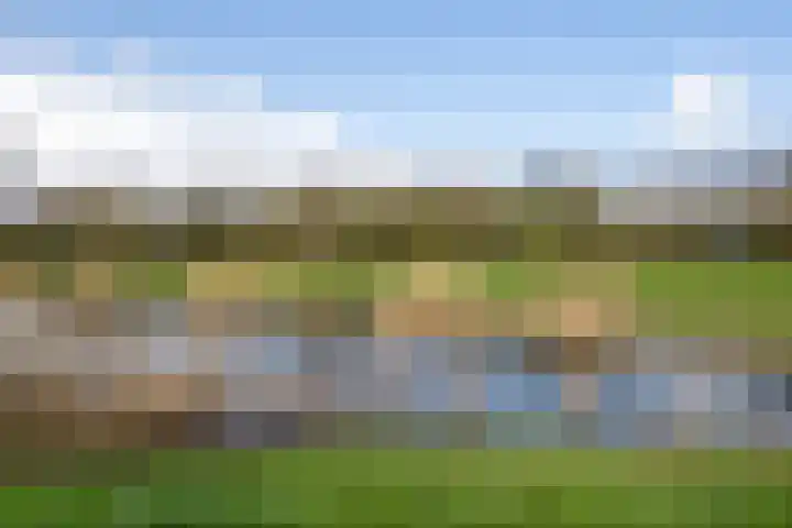 Oeverwal 101 Hoogwoud thumbnail 35