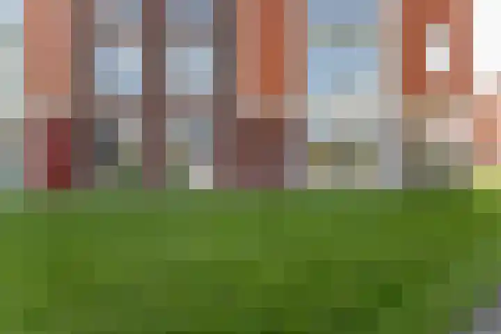 Oeverwal 101 Hoogwoud thumbnail 37