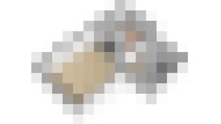 Oeverwal 101 Hoogwoud thumbnail 41