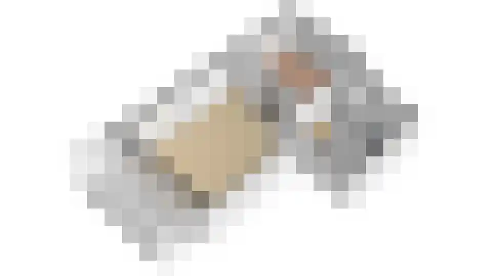 Oeverwal 109 Hoogwoud thumbnail 10