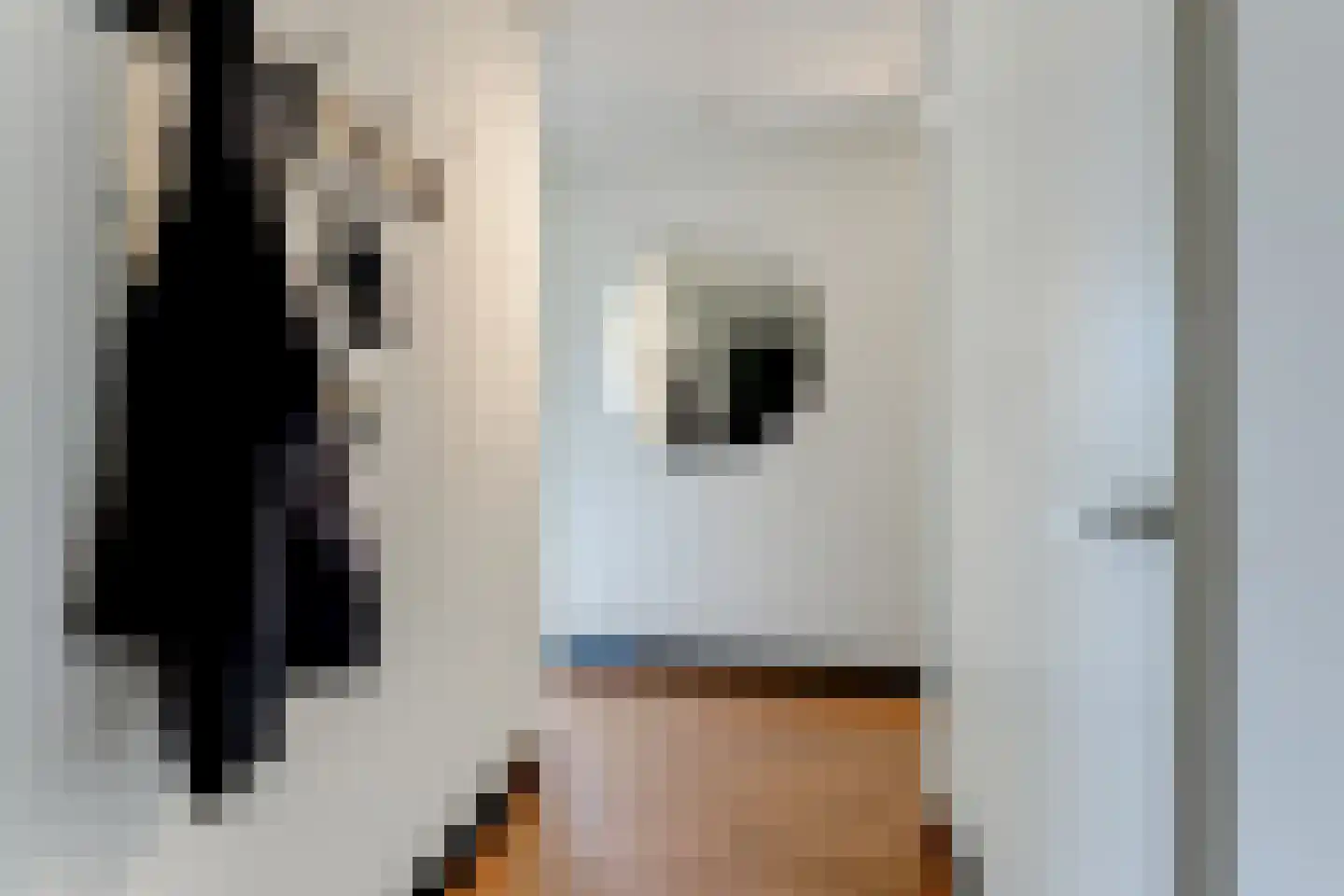Oeverwal 109 Hoogwoud thumbnail 12