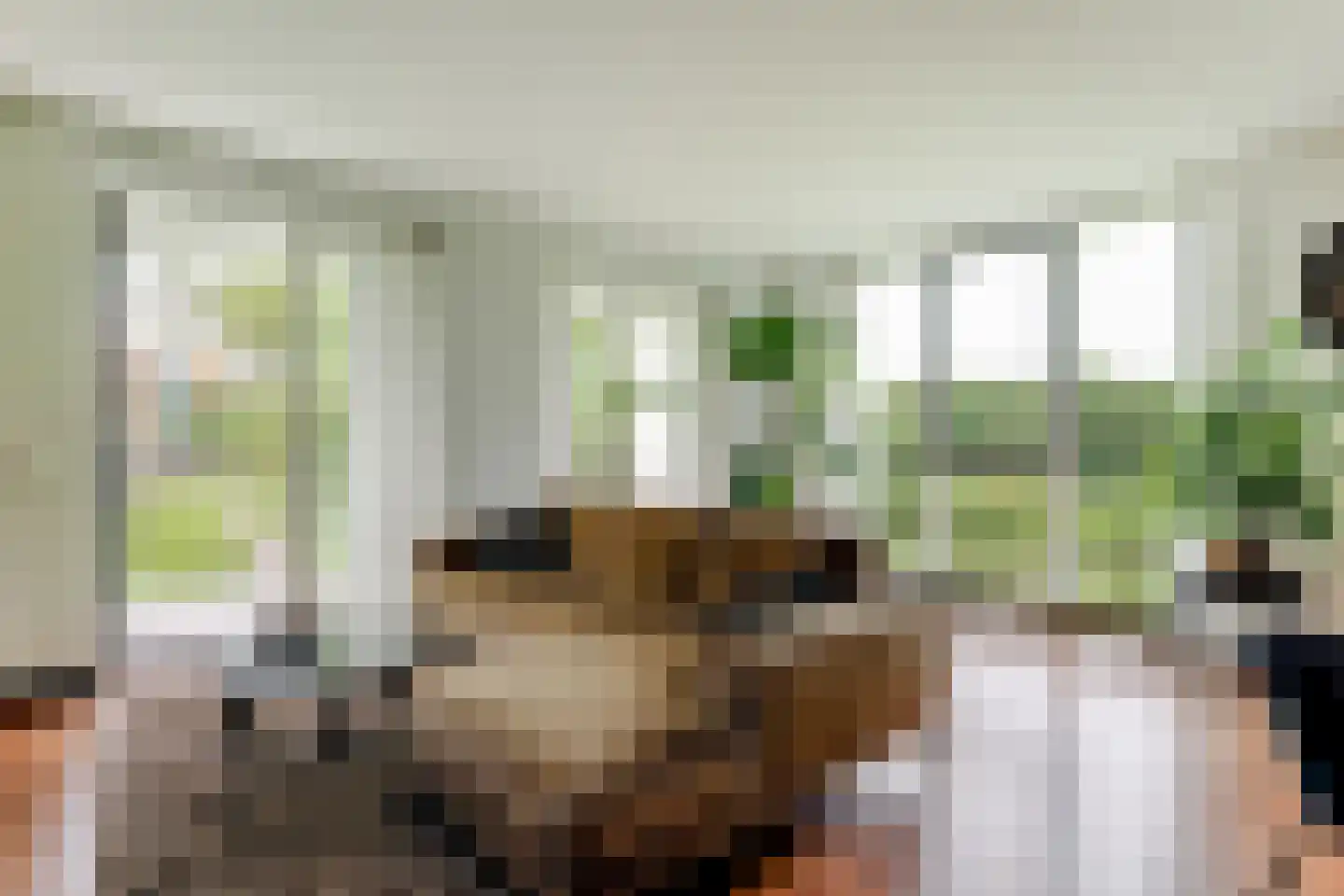 Oeverwal 109 Hoogwoud thumbnail 15