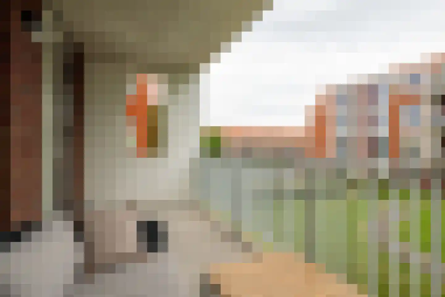 Oeverwal 109 Hoogwoud thumbnail 18