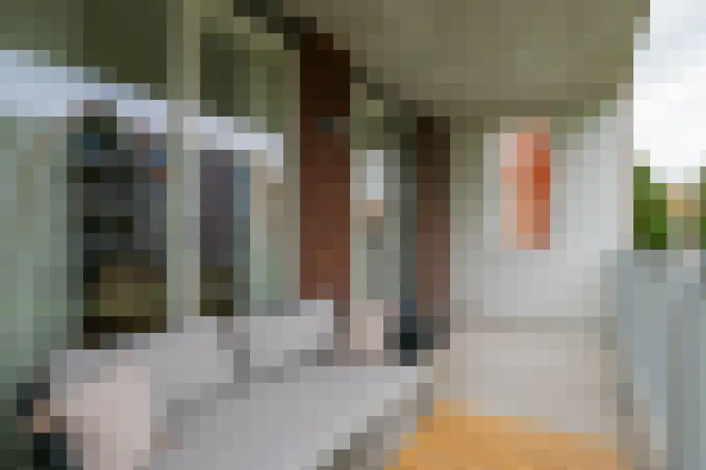 Oeverwal 109 Hoogwoud thumbnail 19