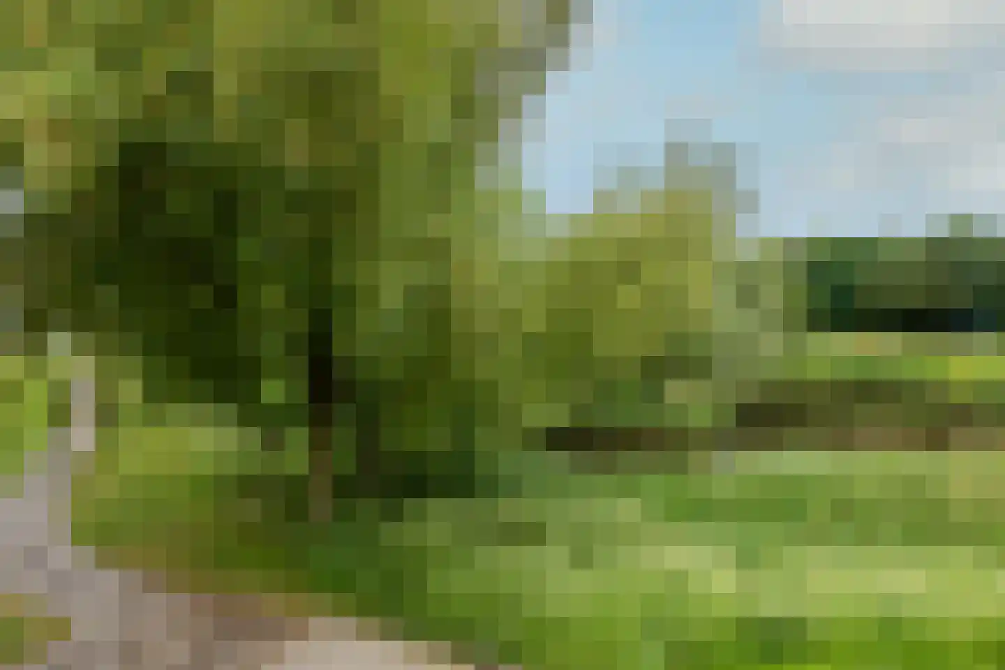 Oeverwal 109 Hoogwoud thumbnail 21