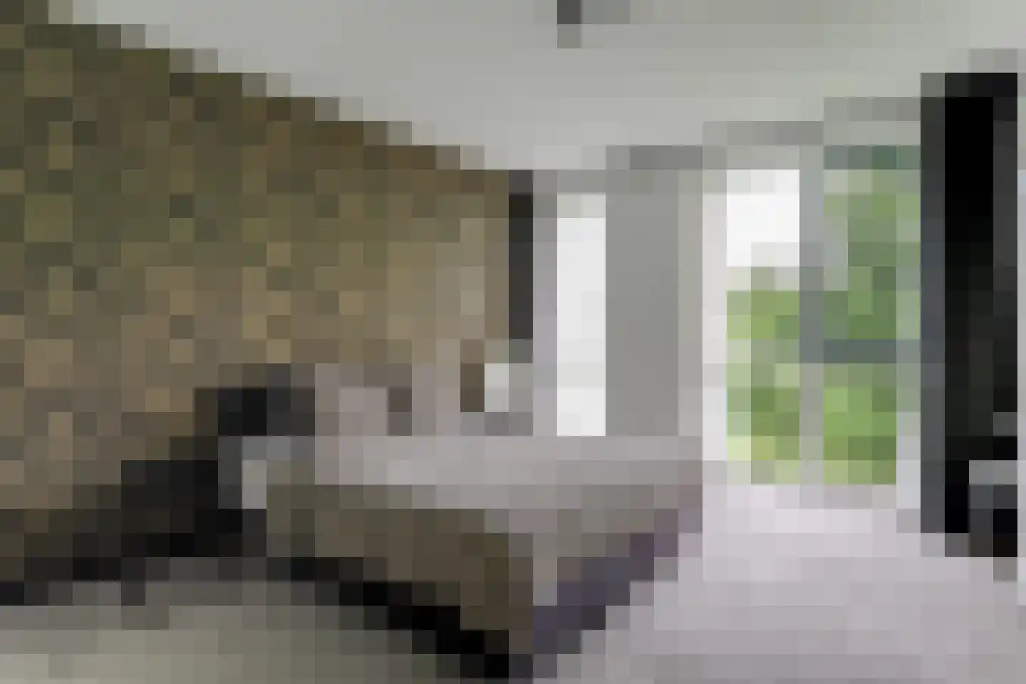 Oeverwal 109 Hoogwoud thumbnail 27