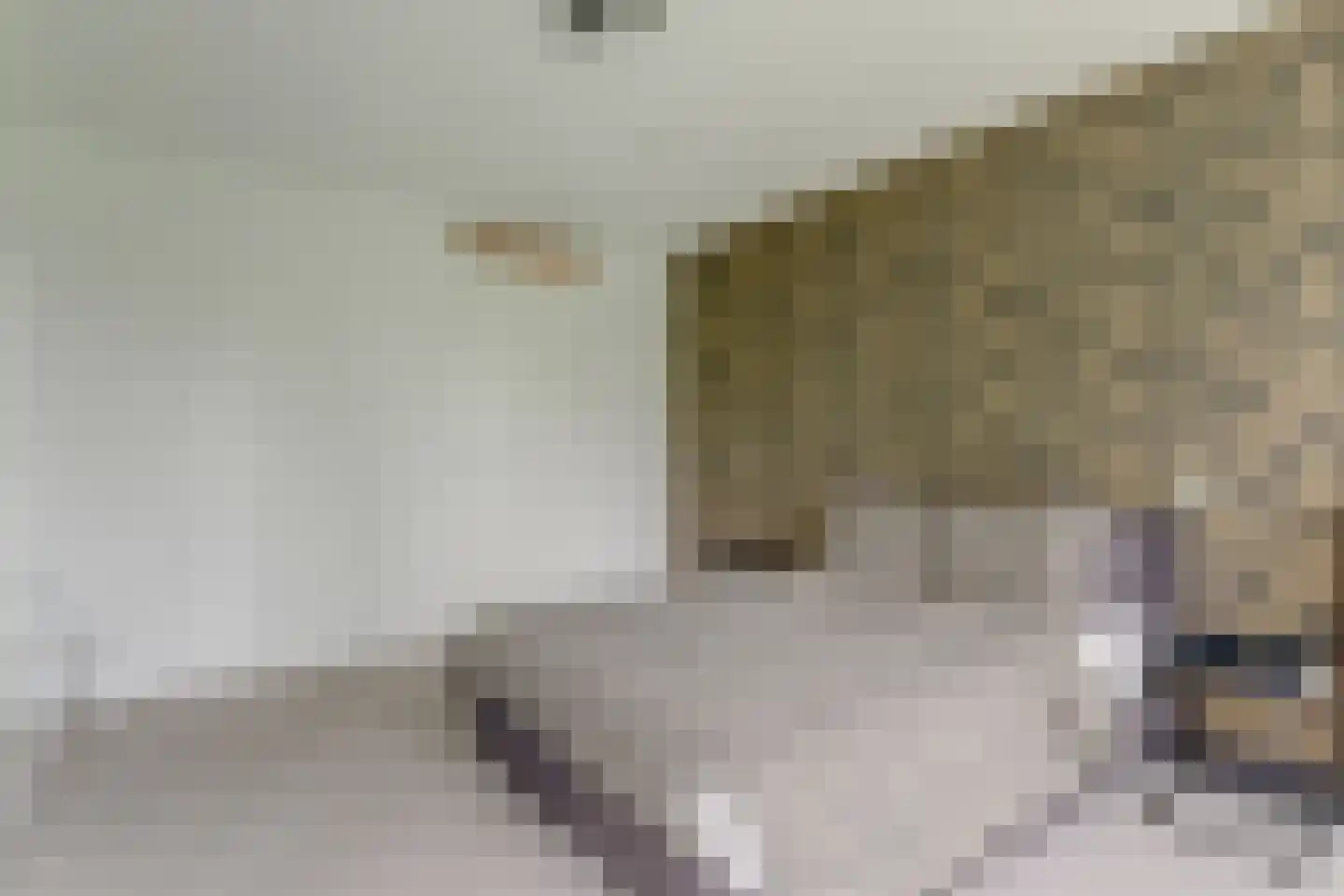 Oeverwal 109 Hoogwoud thumbnail 29