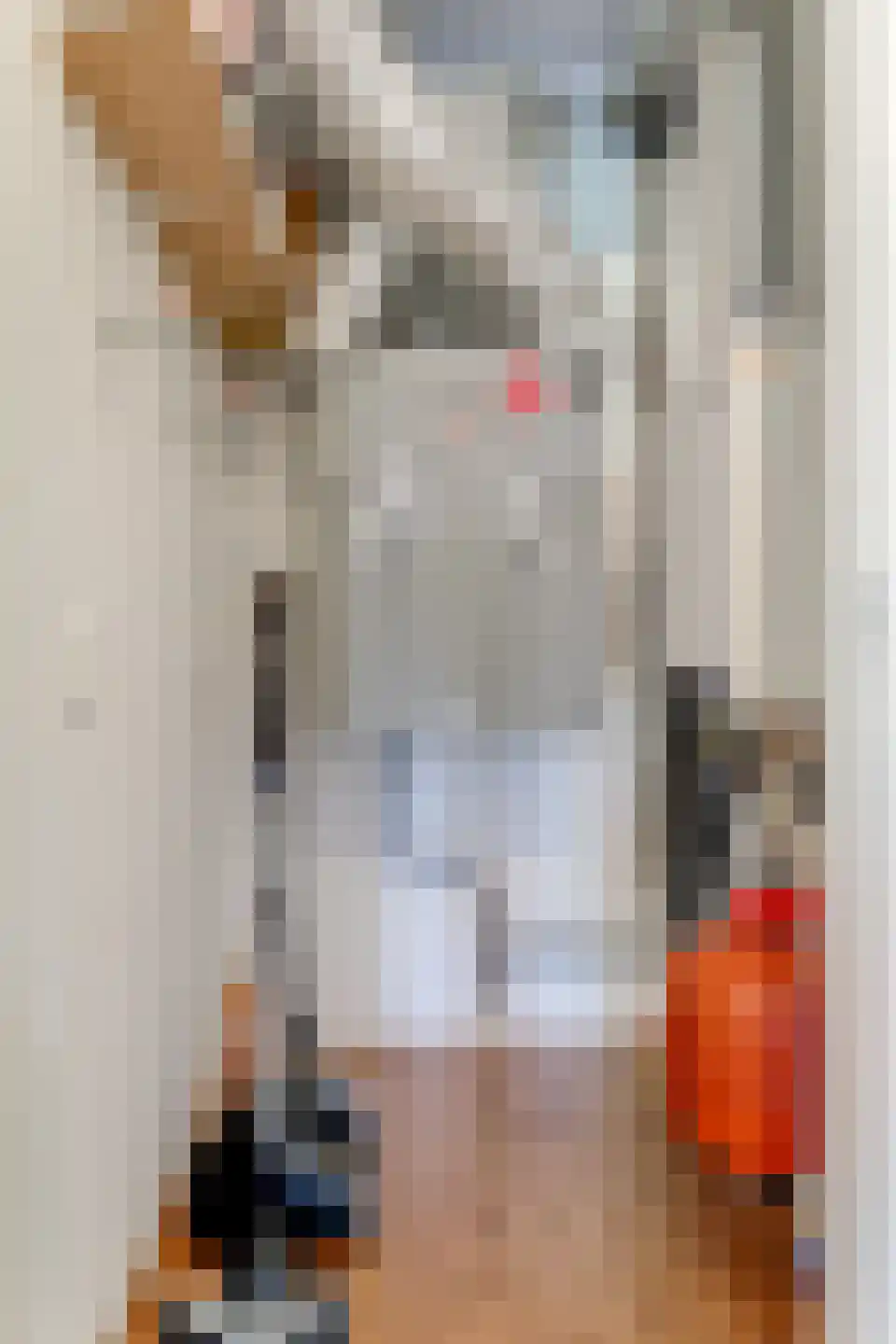 Oeverwal 109 Hoogwoud thumbnail 33
