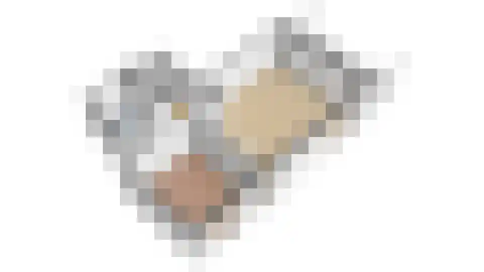 Oeverwal 109 Hoogwoud thumbnail 9