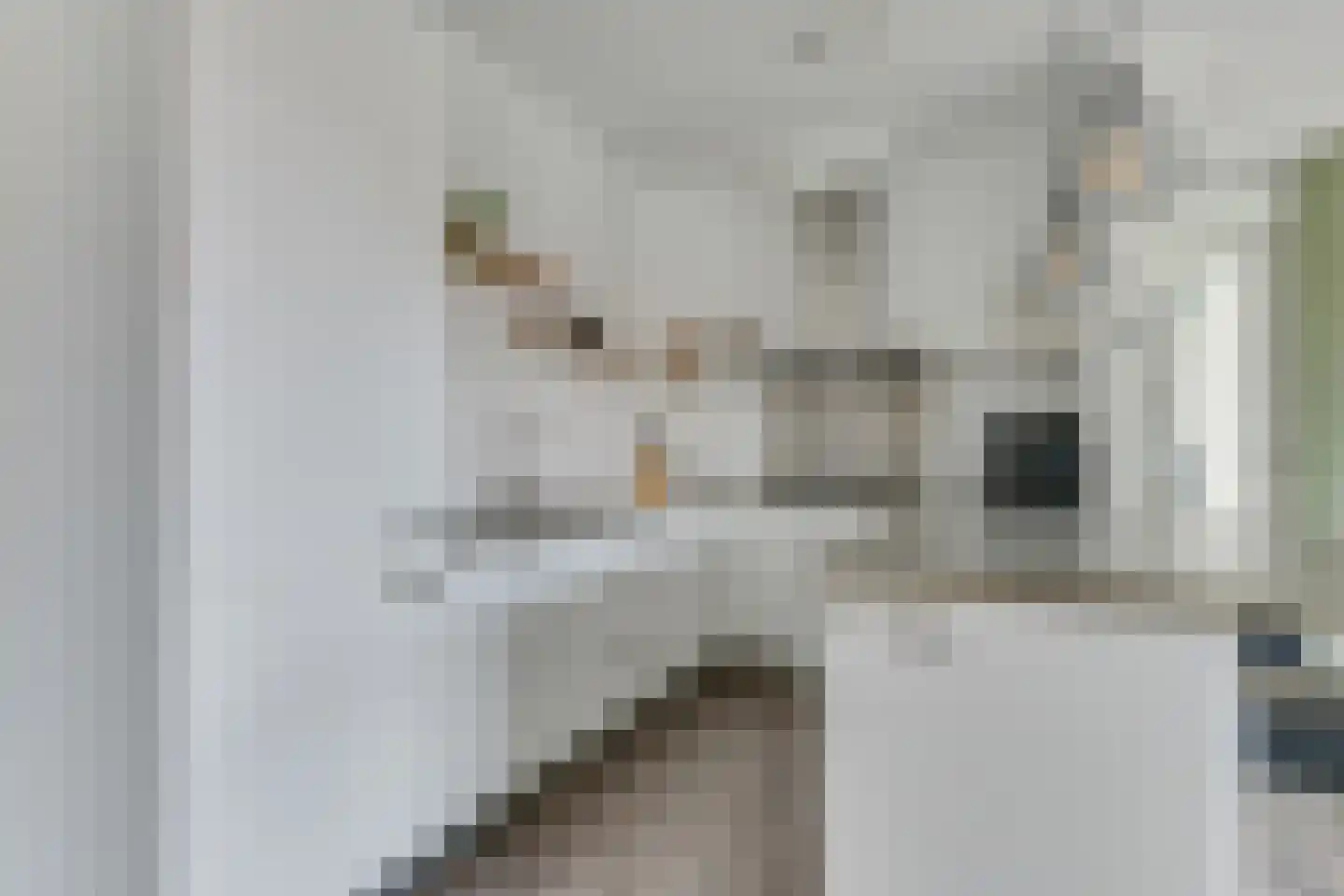 Oeverwal 115 Hoogwoud thumbnail 16