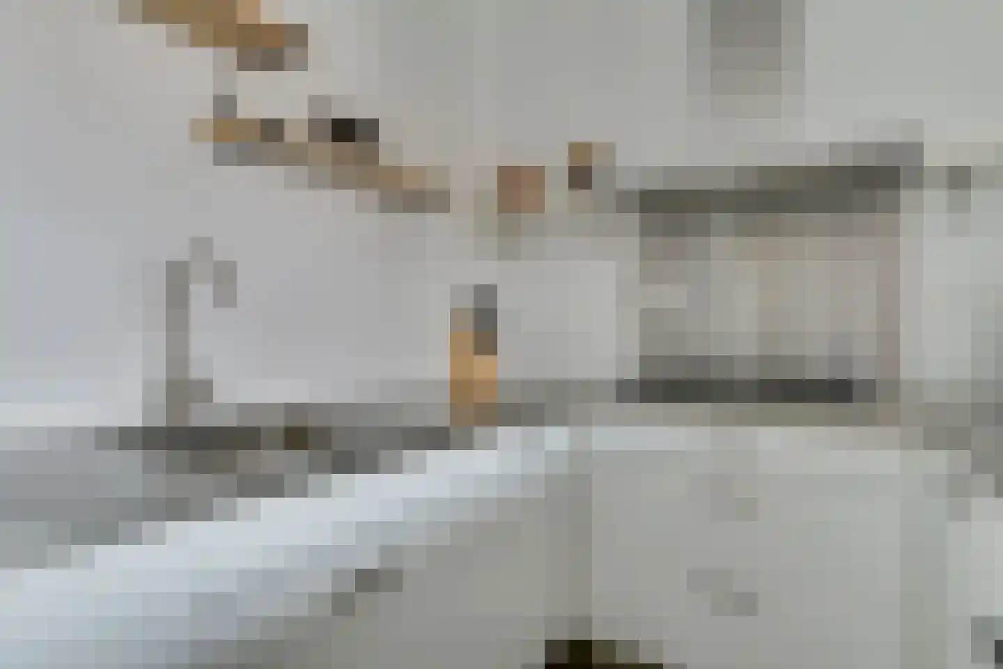 Oeverwal 115 Hoogwoud thumbnail 17