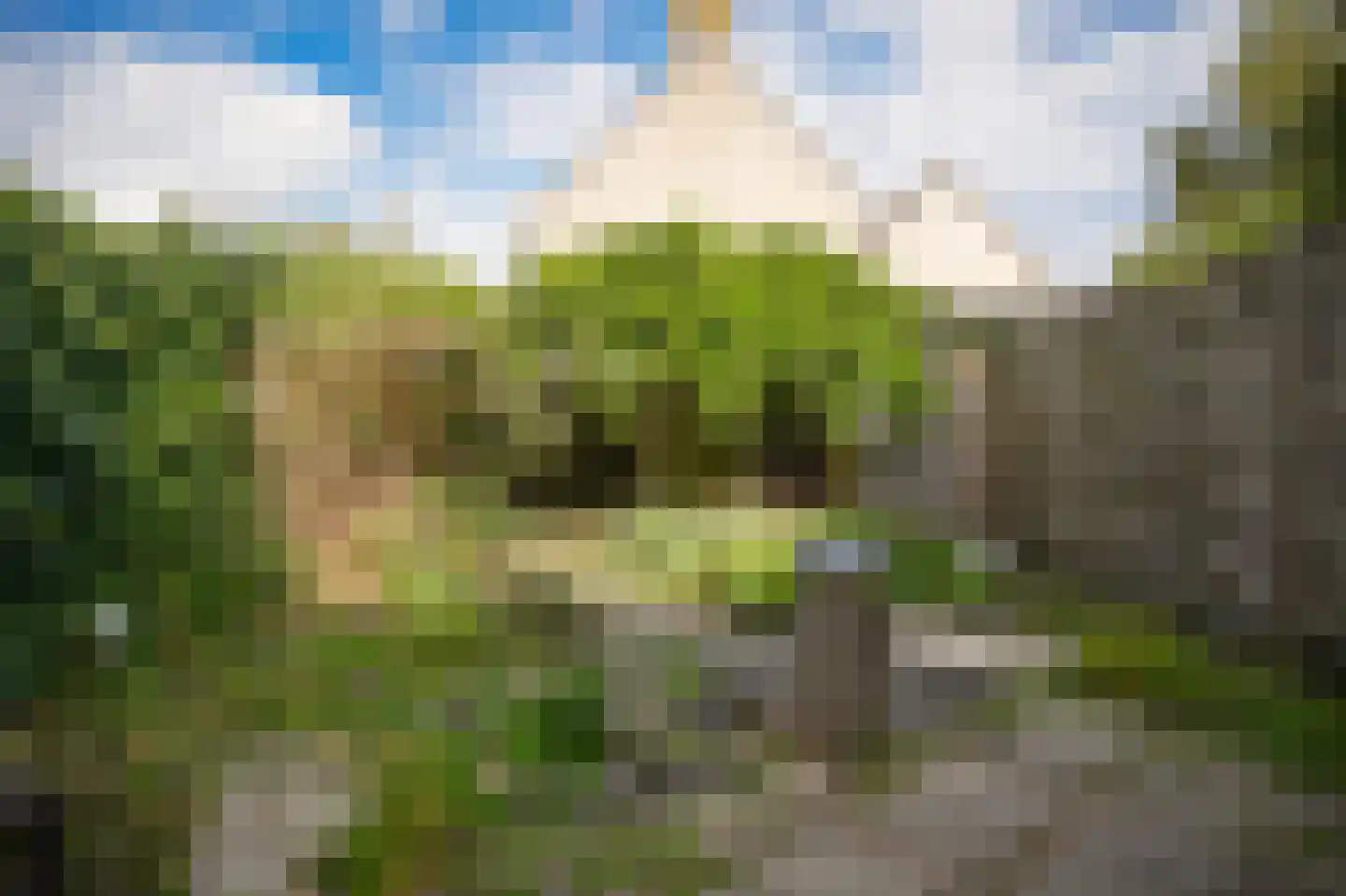 Oeverwal 16 Zaltbommel thumbnail 32