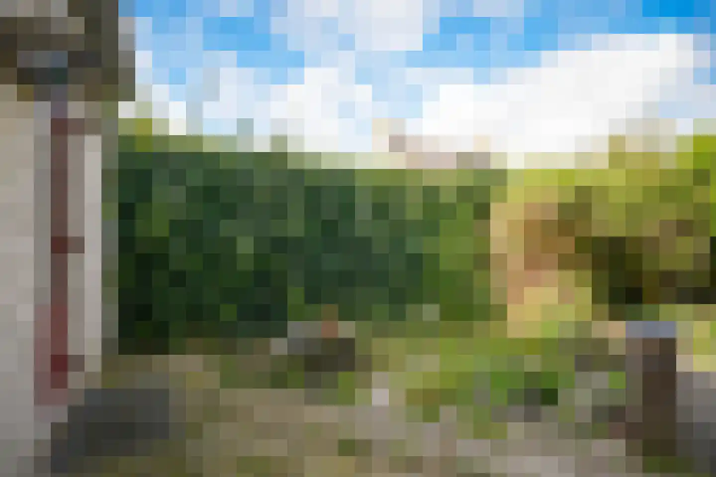 Oeverwal 16 Zaltbommel thumbnail 33