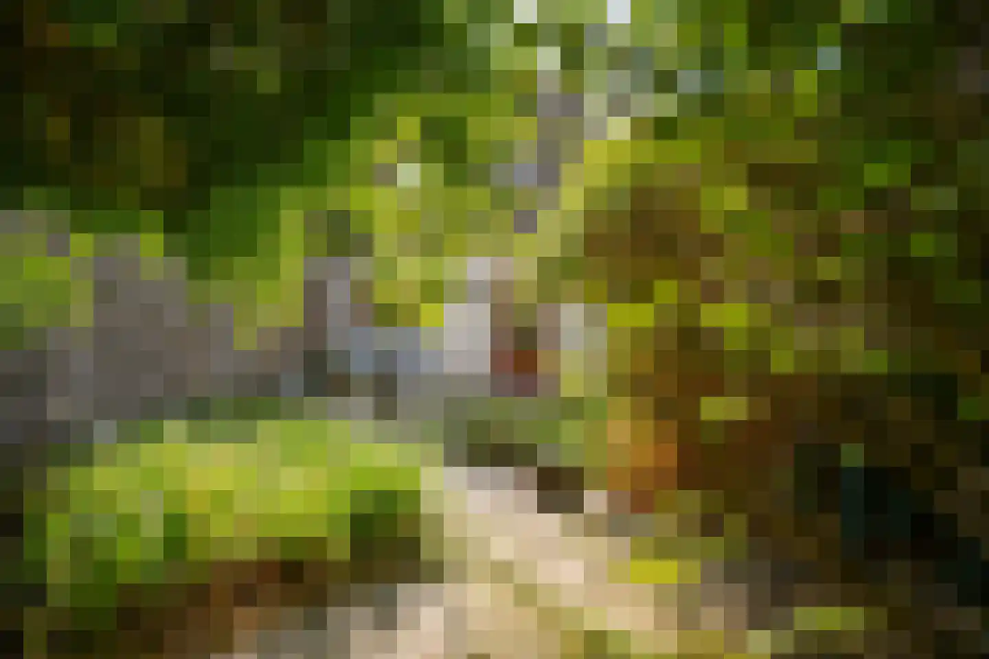 Oeverwal 16 Zaltbommel thumbnail 36